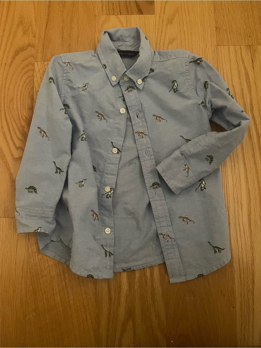 Janie and Jack dinosaur shirt